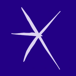 77230195 10155828793719159 5540000211130122240 o 300x300